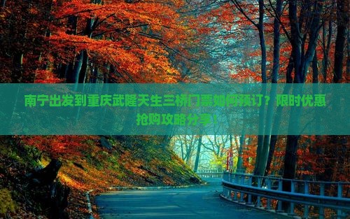 南宁去重庆武隆天生三桥门票