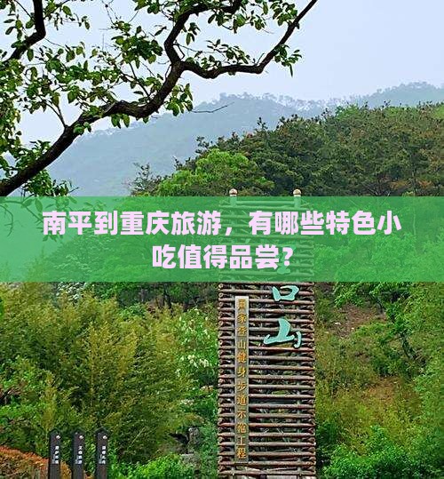 南平到重庆旅游小吃