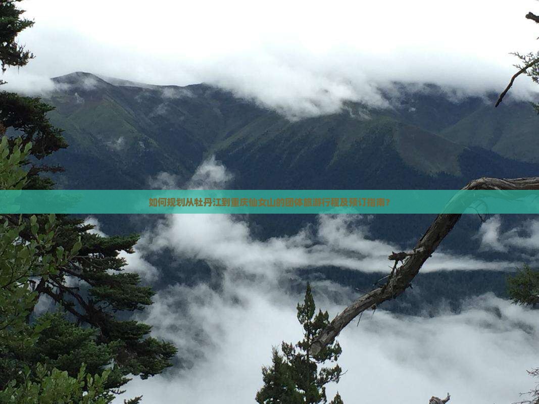 牡丹江去重庆仙女山团体旅游