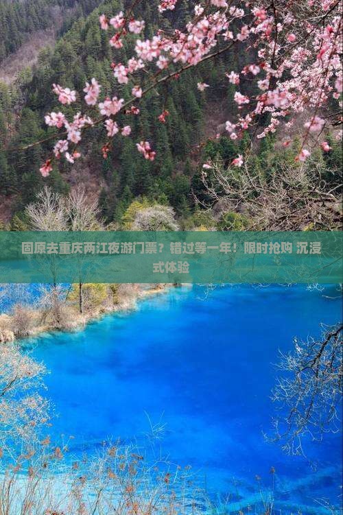 固原去重庆两江夜游门票