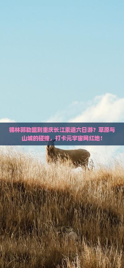 锡林郭勒盟到重庆长江索道六日游