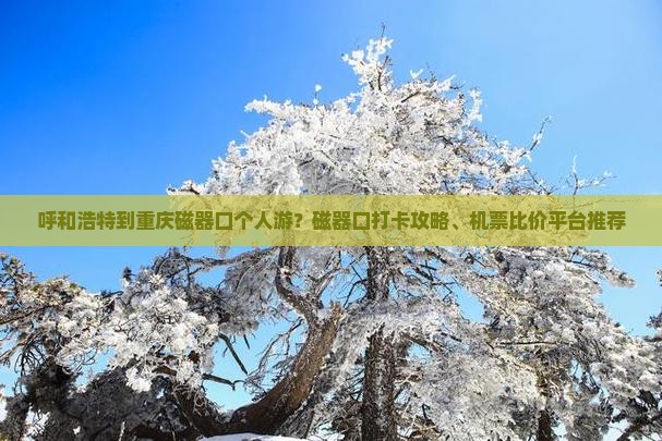 呼和浩特到重庆磁器口个人游
