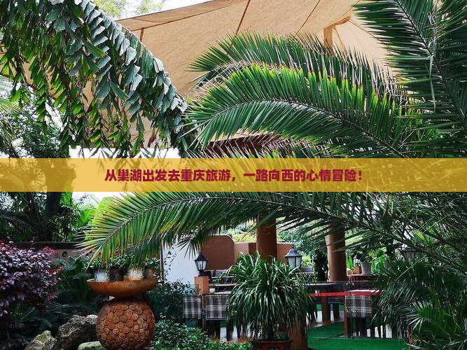 巢湖到重庆旅游