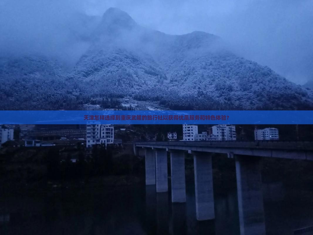 天津到重庆武隆旅行社