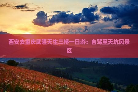 西安去重庆武隆天生三桥一日