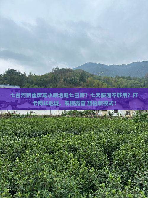 七台河到重庆龙水峡地缝七日游