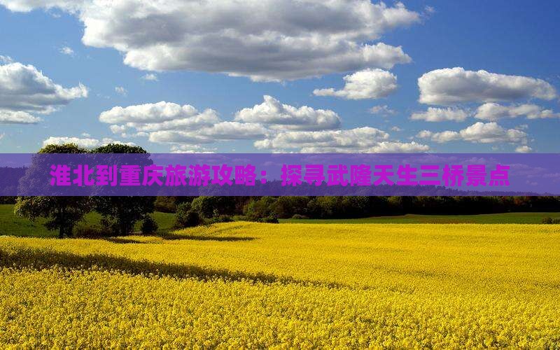 淮北去重庆武隆天生三桥旅游