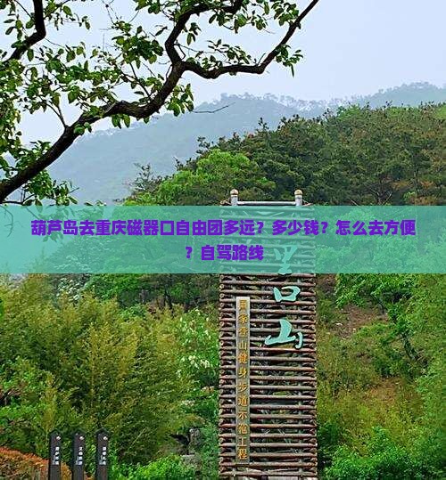 葫芦岛去重庆磁器口自由团