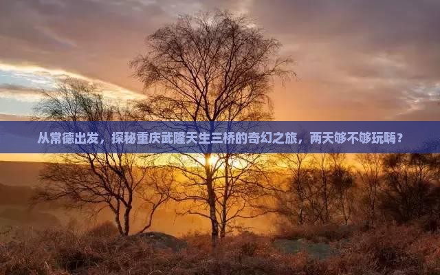 常德去重庆武隆天生三桥二日游