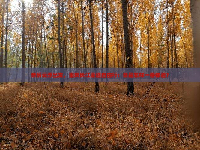 云浮到重庆长江索道自由行