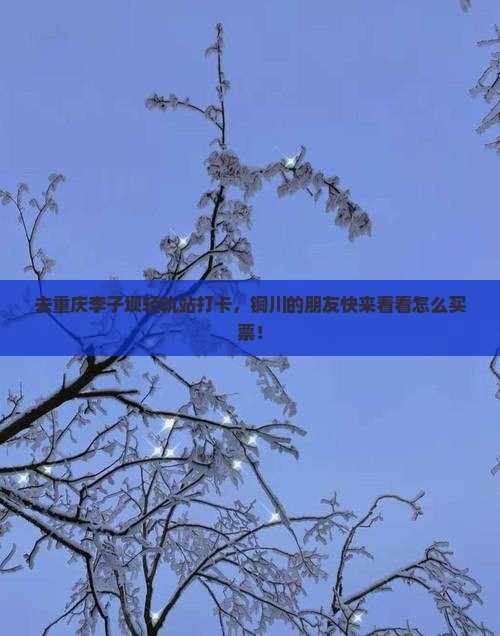 铜川去重庆李子坝轻轨站门票