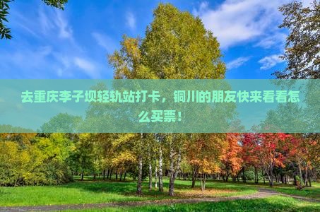铜川去重庆李子坝轻轨站门票
