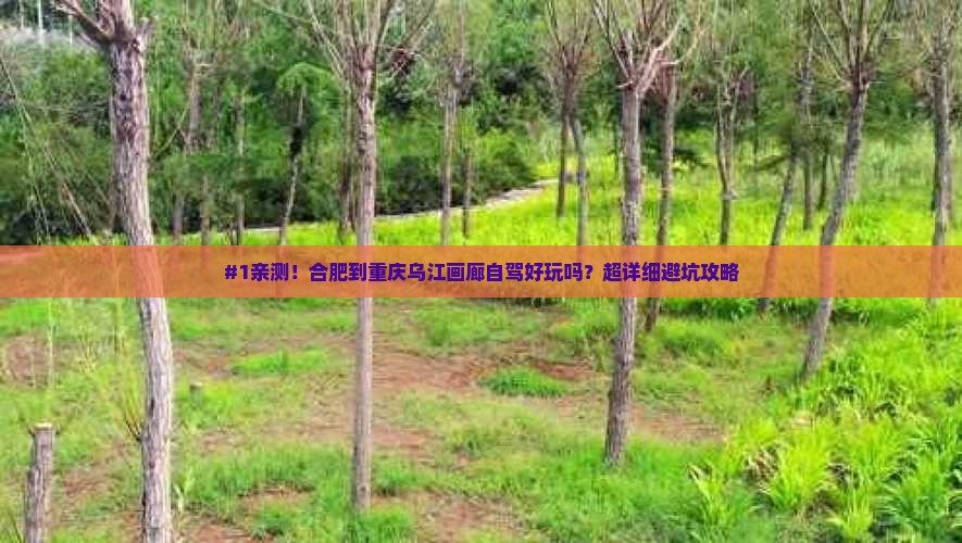合肥到重庆乌江画廊攻略
