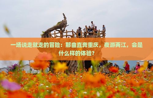 那曲到重庆两江夜游一日