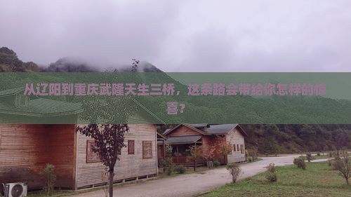 辽阳到重庆武隆天生三桥自由行