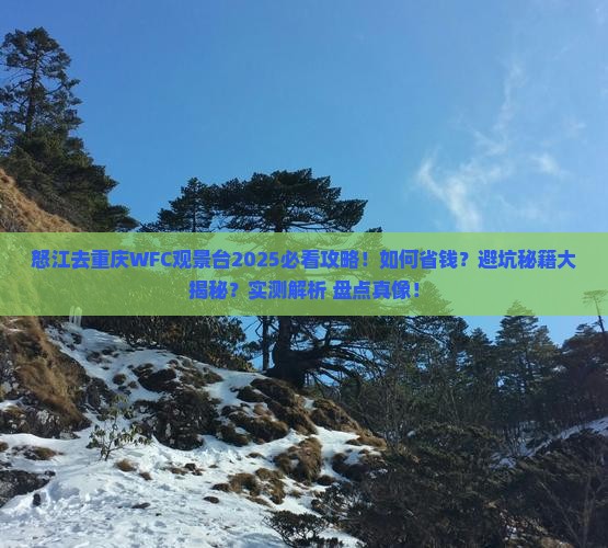 怒江去重庆wfc观景台攻略