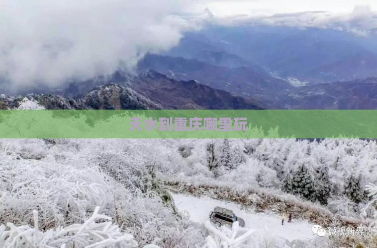 天水到重庆哪里玩