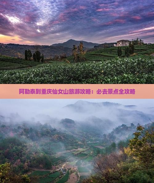 阿勒泰到重庆仙女山大型旅游团