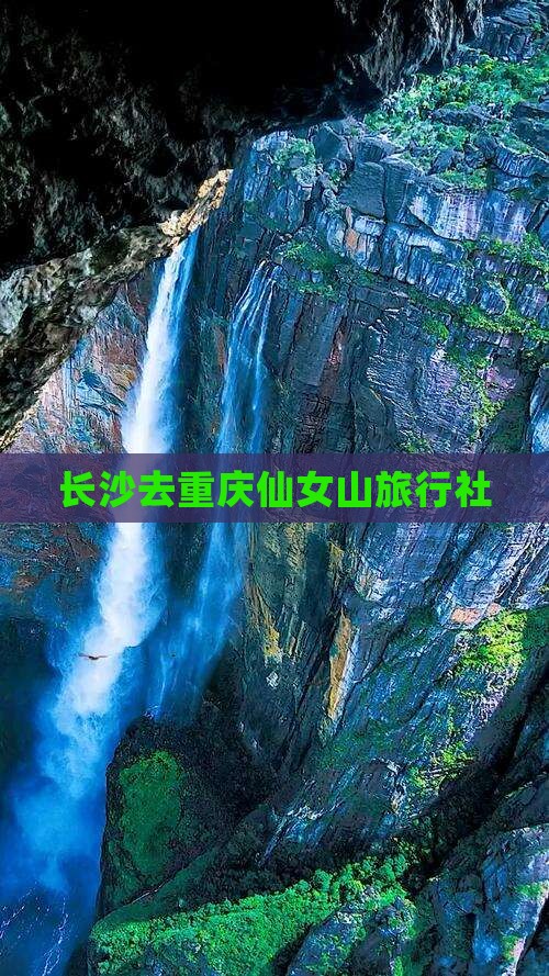 长沙去重庆仙女山旅行社