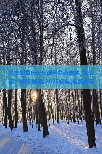 大丰到重庆wfc观景台必去地