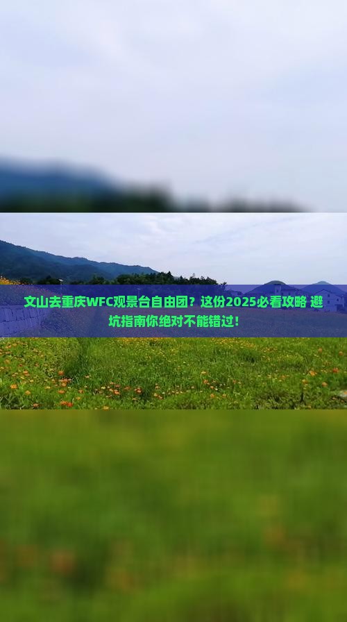 文山去重庆wfc观景台自由团
