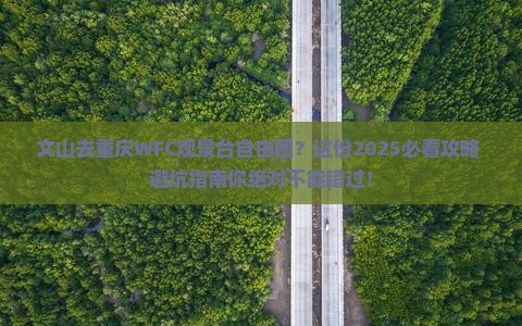 文山去重庆wfc观景台自由团