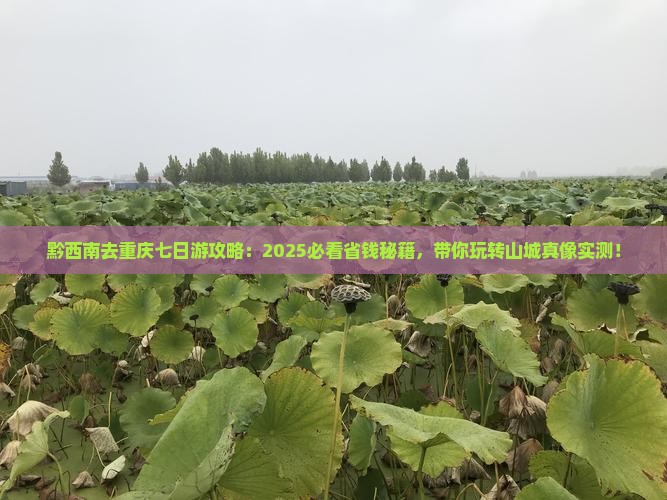 黔西南去重庆七日游
