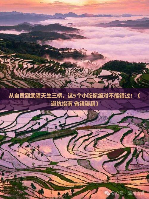 自贡去重庆武隆天生三桥旅游小吃
