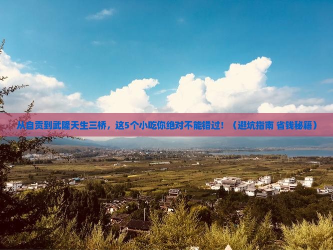 自贡去重庆武隆天生三桥旅游小吃
