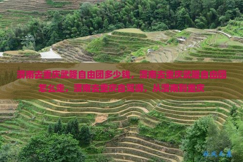 渭南去重庆武隆自由团