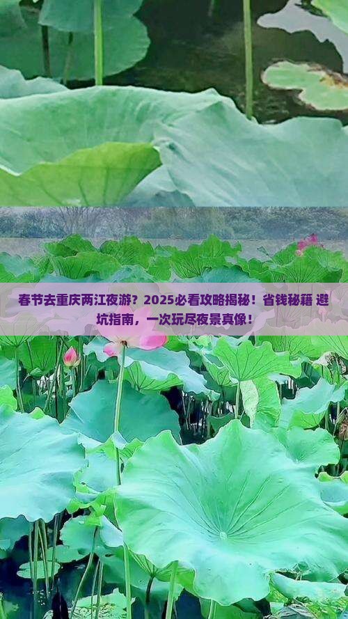 春节到重庆两江夜游攻略