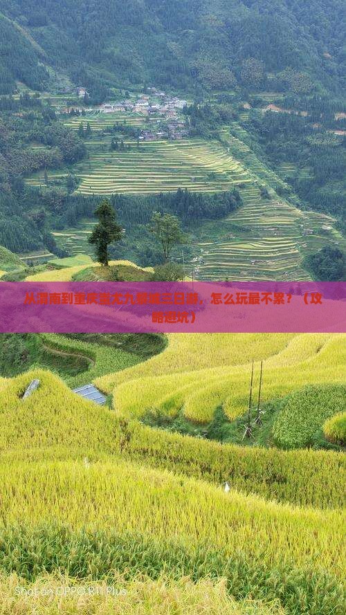 渭南到重庆蚩尤九黎城三日游