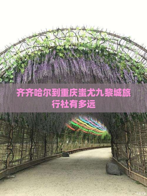 齐齐哈尔到重庆蚩尤九黎城旅行社