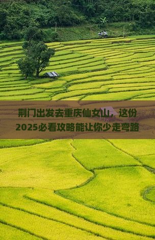 荆门去重庆仙女山个人游
