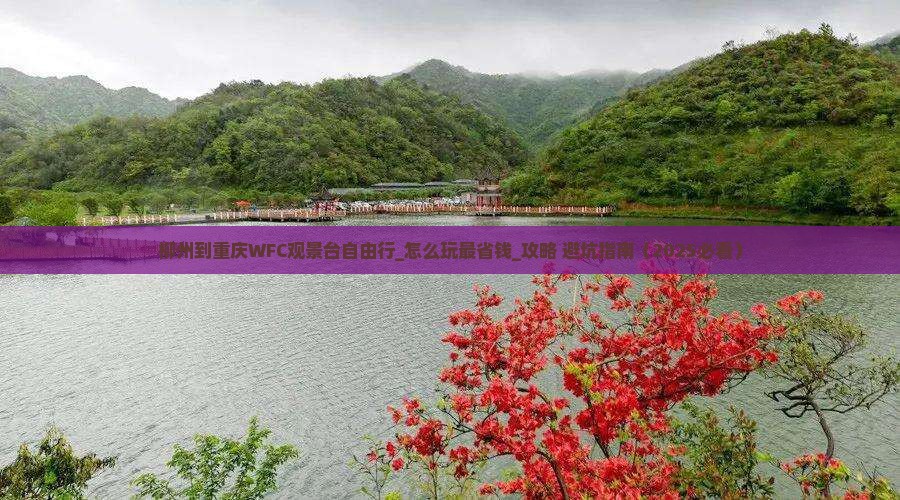 柳州到重庆wfc观景台自由行