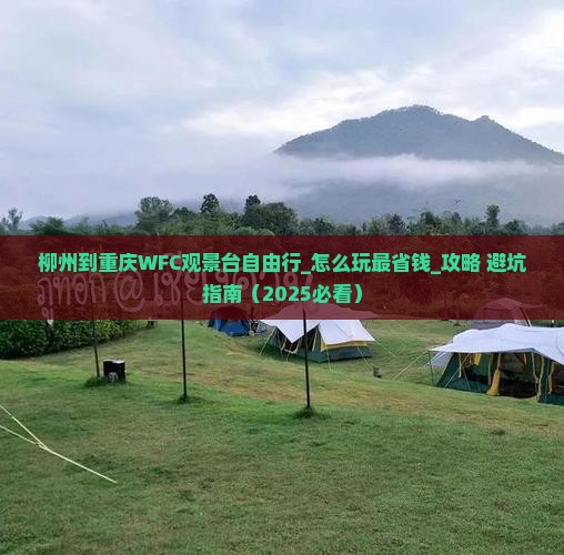柳州到重庆wfc观景台自由行