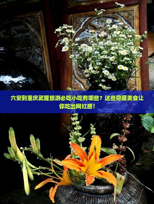 六安到重庆武隆旅游小吃
