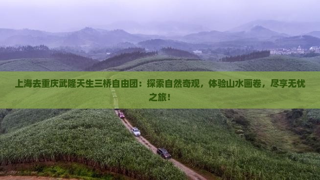 上海去重庆武隆天生三桥自由团