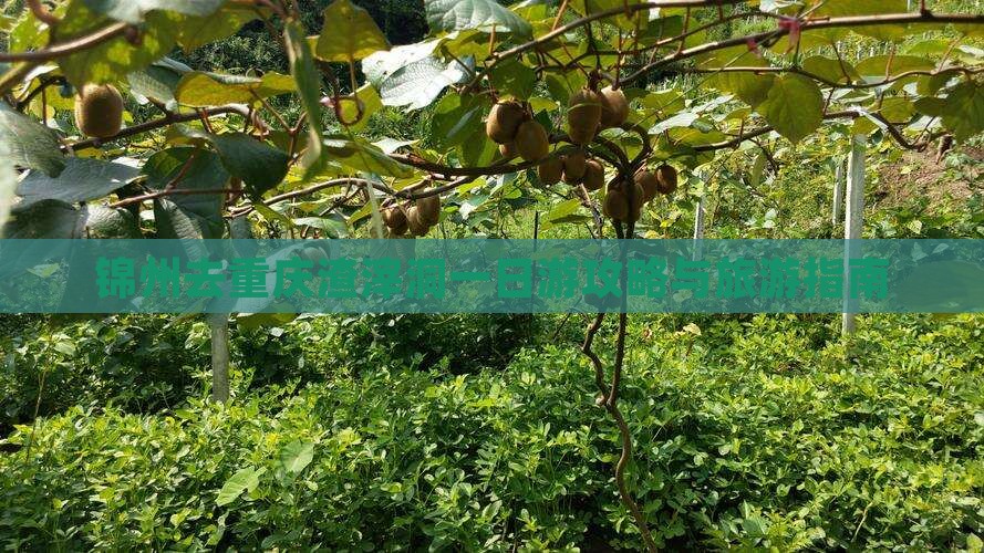 锦州去重庆渣滓洞一日