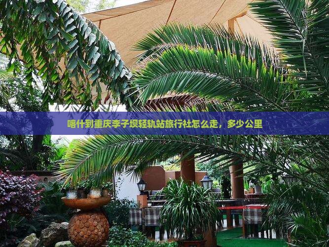 喀什到重庆李子坝轻轨站旅行社