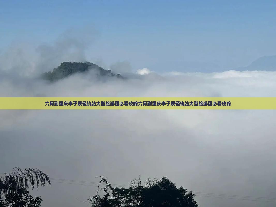 六月到重庆李子坝轻轨站大型旅游团