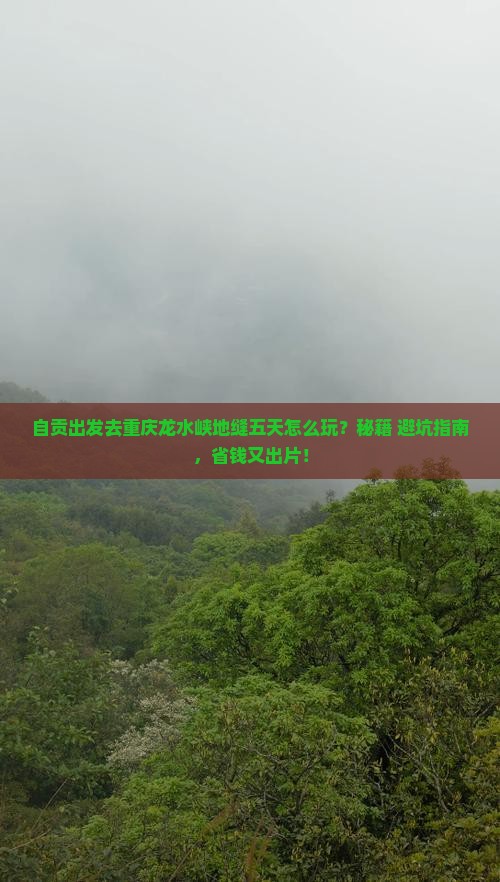 自贡去重庆龙水峡地缝五日游