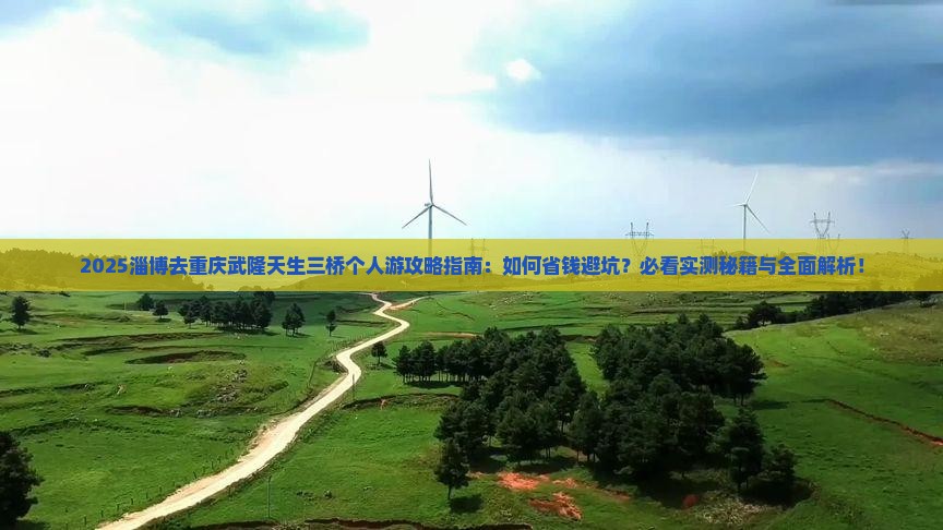 淄博去重庆武隆天生三桥个人游