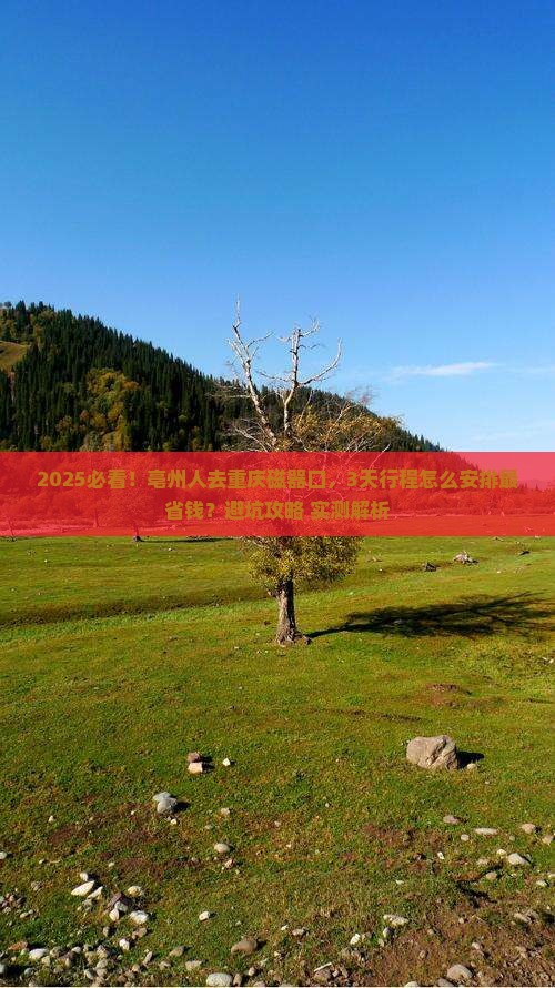 亳州去重庆磁器口旅行社
