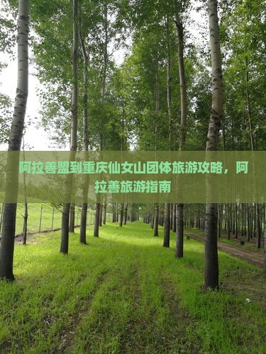 阿拉善盟到重庆仙女山团体旅游