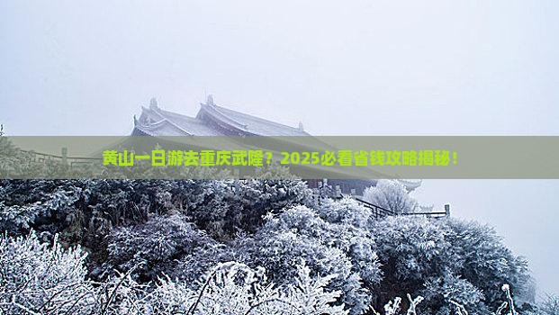 黄山去重庆武隆一日