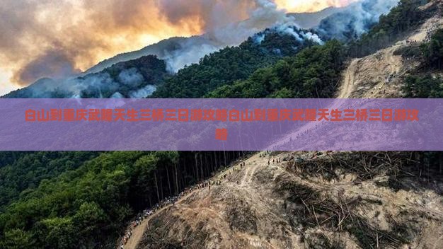 白山到重庆武隆天生三桥三日游 白山到重庆武隆天生三桥三日游