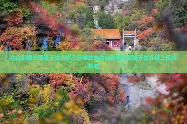 白山到重庆武隆天生三桥三日游 白山到重庆武隆天生三桥三日游