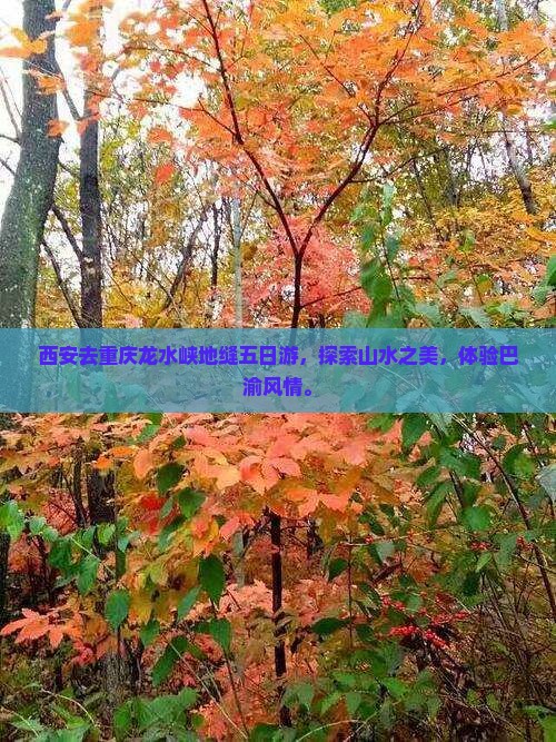 西安去重庆龙水峡地缝五日游