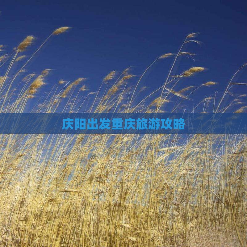 庆阳到重庆自由团